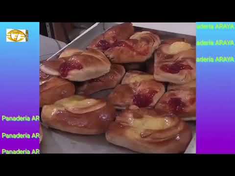 Eventos realizados el 15 y 16 del 11/25 en Andalgala