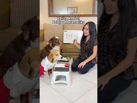 ANABUL BELAJAR MATEMATIKA‼️ RYUKI KASIH CONTEKAN KE RAIDEN🤦🏻‍♀️😱 #shorts #anjinglucu