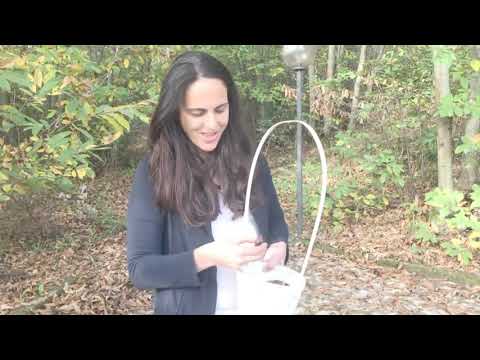 Castagne al forno, in padella o al microonde? Tutti i modi per cuocere le castagne!