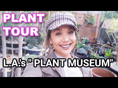 Not Your Typical Plant Shop! 😲 Plant Tour of L.A.'s Most Unique (& High End) Plant Nursery