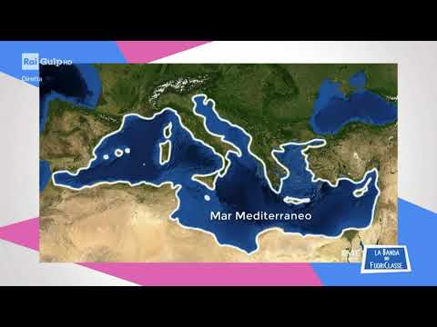 MyEdu per RAI GULP - SCIENZE - il mare