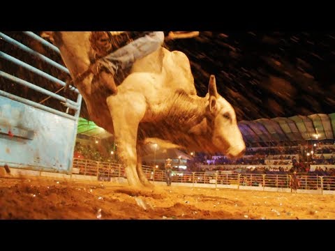 ExpoGuapi Guapirama 2018