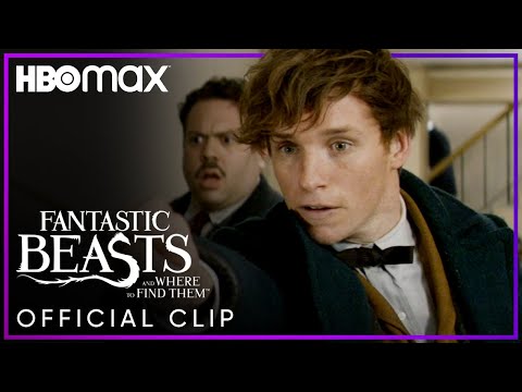 Newt Scamander Catches the Niffler