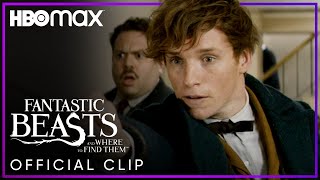 Newt Scamander Tries Catching The Niffler | Fantastic Beasts and Where to Find Them | HBO Max