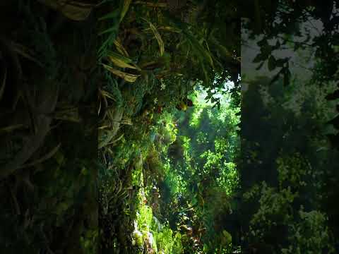 Rendering of a forest scene. #3dcg #cg #forest #lighting #unrealengine #unrealengine5