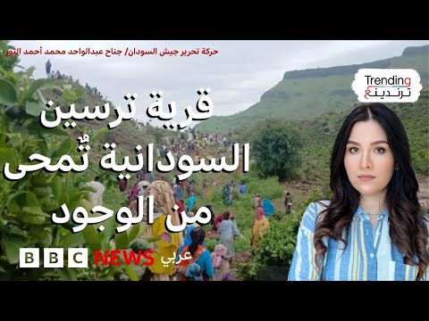 فيديو | قرية سودانية تُمحى من الوجود جراء إنزلاق أرضي وناج واحد فقط