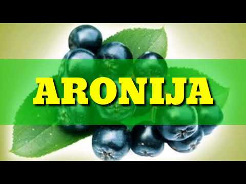 Aronija - Ljekovita svojstva - Imunitet