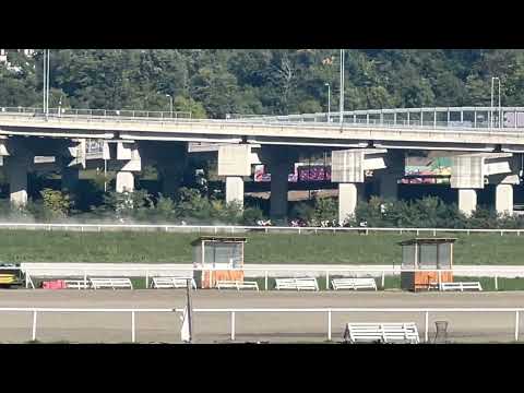 16.10.2022 2.Trka Beograd SINGIDUNUM