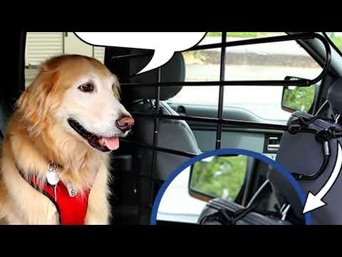 Ride Safe with Pets 🐾 Zookeeper Vehicle Pet Barrier Review