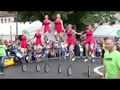 Festumzug - Tag der Sachsen 2017 in Löbau