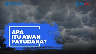 Viral Video Penampakan Awan Payudara di Sinjai, Apakah Bahaya? Simak Penjelasan Ini!