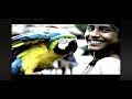 Kodak High Definition Commercial 2003