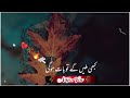 Tumhari Chup Aur Hamara Lehja Urdu Poetry Khalil Ur Rahman Sad Poetry Editing Videos