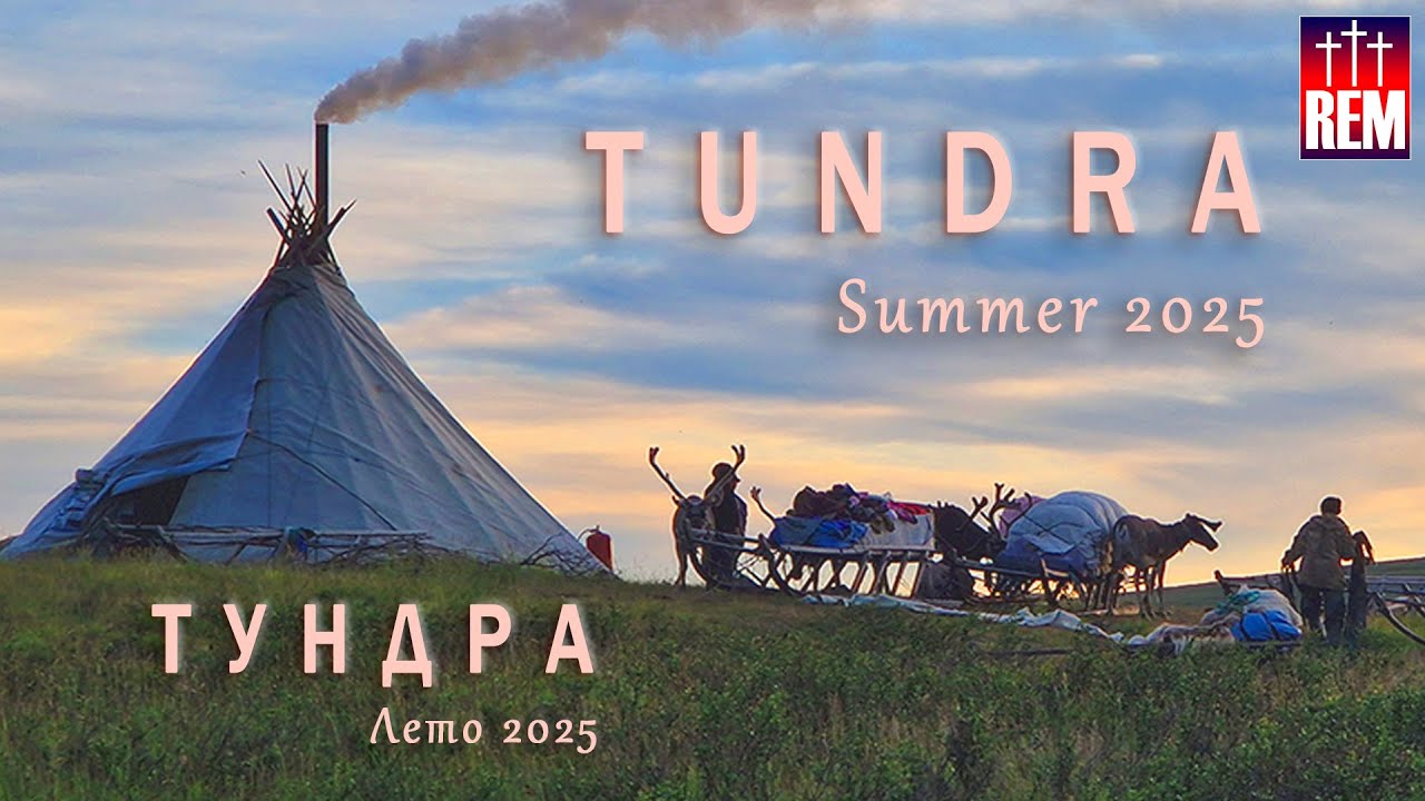 Тундра — лето 2025 | 4K