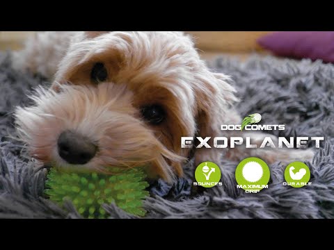 Dog Comets Exoplanet (DE)