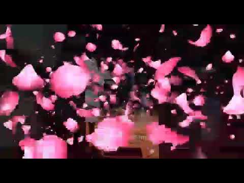 Akib Makhamalla birthday party 🎊 cellibration