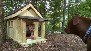 Pete Nelson Builds the Ultimate Dog House | Treehouse Masters