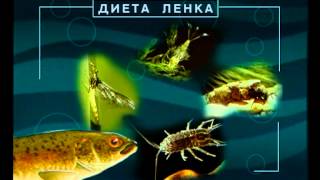 Диалоги о рыбалке. рыбалка в казахстане.
