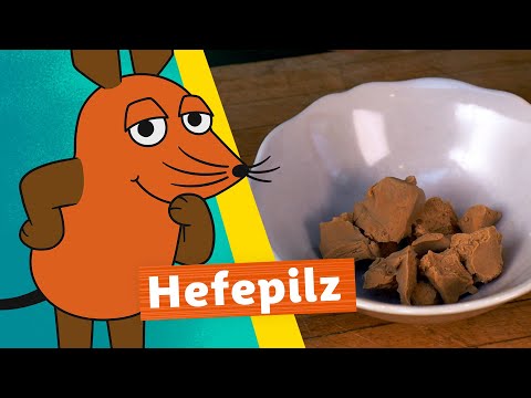 Wie wird Hefe hergestellt? | Die Maus | WDR