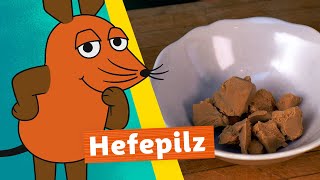 Wie wird Hefe hergestellt? | Die Maus | WDR