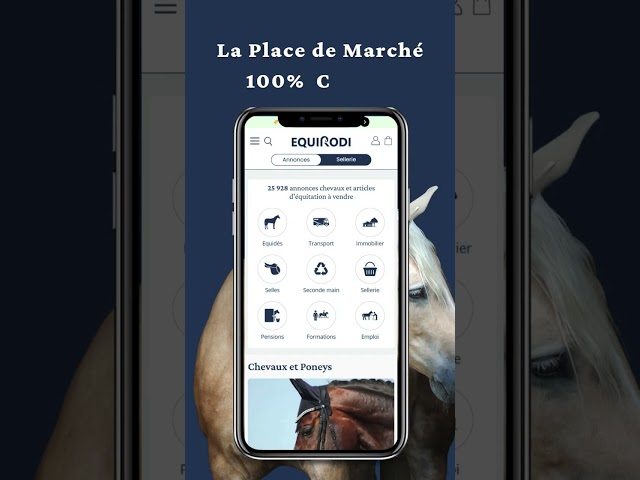 Iligan - jument SFO 8 ans