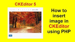 Upload image in CKEditor 5 and save into database using PHP || CKEditor integration with Source Code