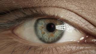 University of Derby video