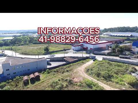 MELHOR AREA DE ARAUCARIA