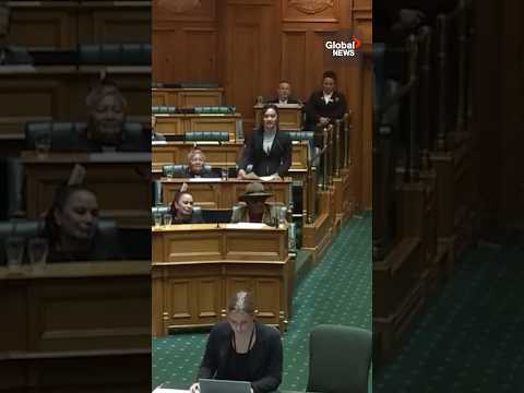 New Zealand MPs disrupt Parliament, stage haka in protest of controversial Indigenous bill