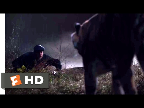 The Interview (2014) - Aardvark vs. Tiger Scene (4/10) | Movieclips