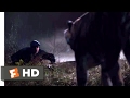 The Interview 2014 Aardvark Vs Tiger Scene 4 10 Movieclips