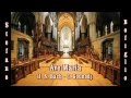 Ave Maria (Bach/Gounod) - Stefano Bonfiglio