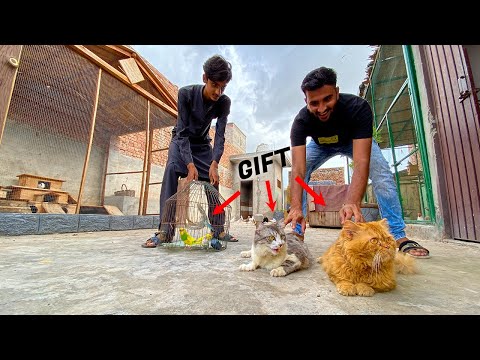 Ab in New  Bilyon Ka Kia Kroo 🙂