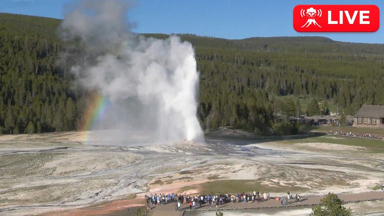 Live webcam view of Old Faithful & Upper Geyser Basin