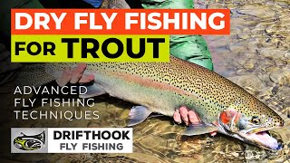 Dry Fly Fishing for Trout - Setup and Techniques