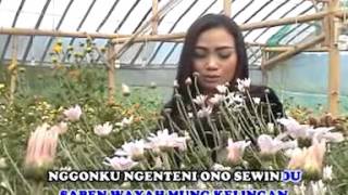 Download lagu Tayub Argowilis Pengen Nyanding Budi Asmoro mp3