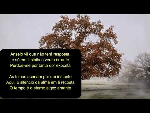 O lamento ao carvalho centenário