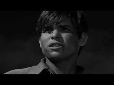 Aprendiendo a morir El Cordobes