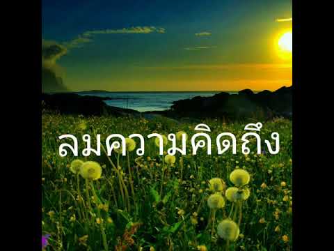 "ลมความคิดถึง"ไชโย ธนาวัฒน์