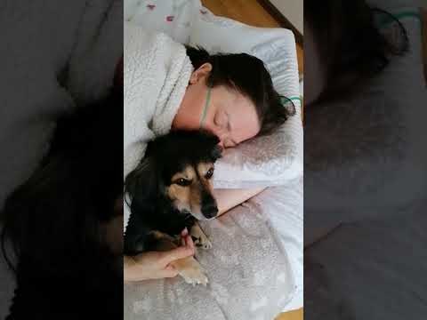 Obrazek poglądowy filmu YouTube