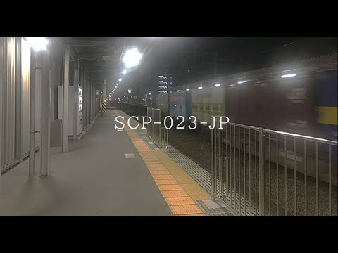 SCP-023-JPは未知の鉄道路線です。【SCP総集編】