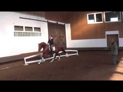 Edelbert v. Edward - Lononderry - Pik Bube I