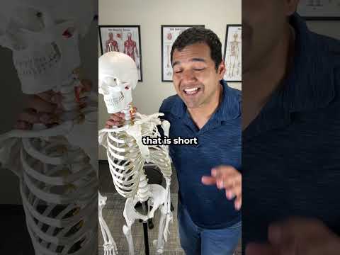 Best Treatment for a Neck Disc Herniation #shorts