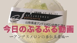 今日のぷるぷる動画〜アンデスメロンの杏仁豆腐編〜