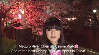 YUICHANNEL VOL 295feat ADAMAX KICK OFF