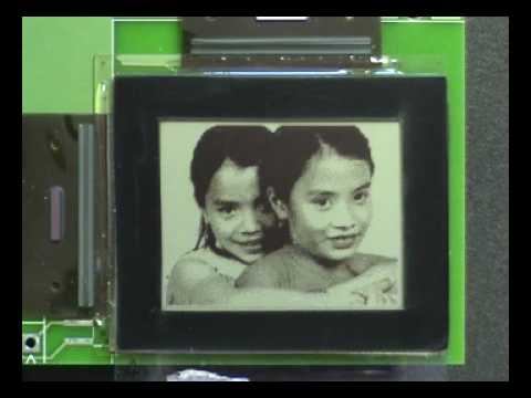 download lagu mp3 mp4 VA Best Of Captivate 2010, download mp3 VA Best Of Captivate 2010 free download mp3, download mp3 VA Best Of Captivate 2010