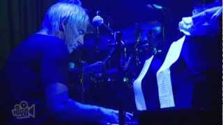 Paul Weller - Trees (Live in Sydney) | Moshcam
