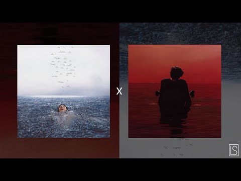 Wonder x Sign of the Times (Wonder of the Times)