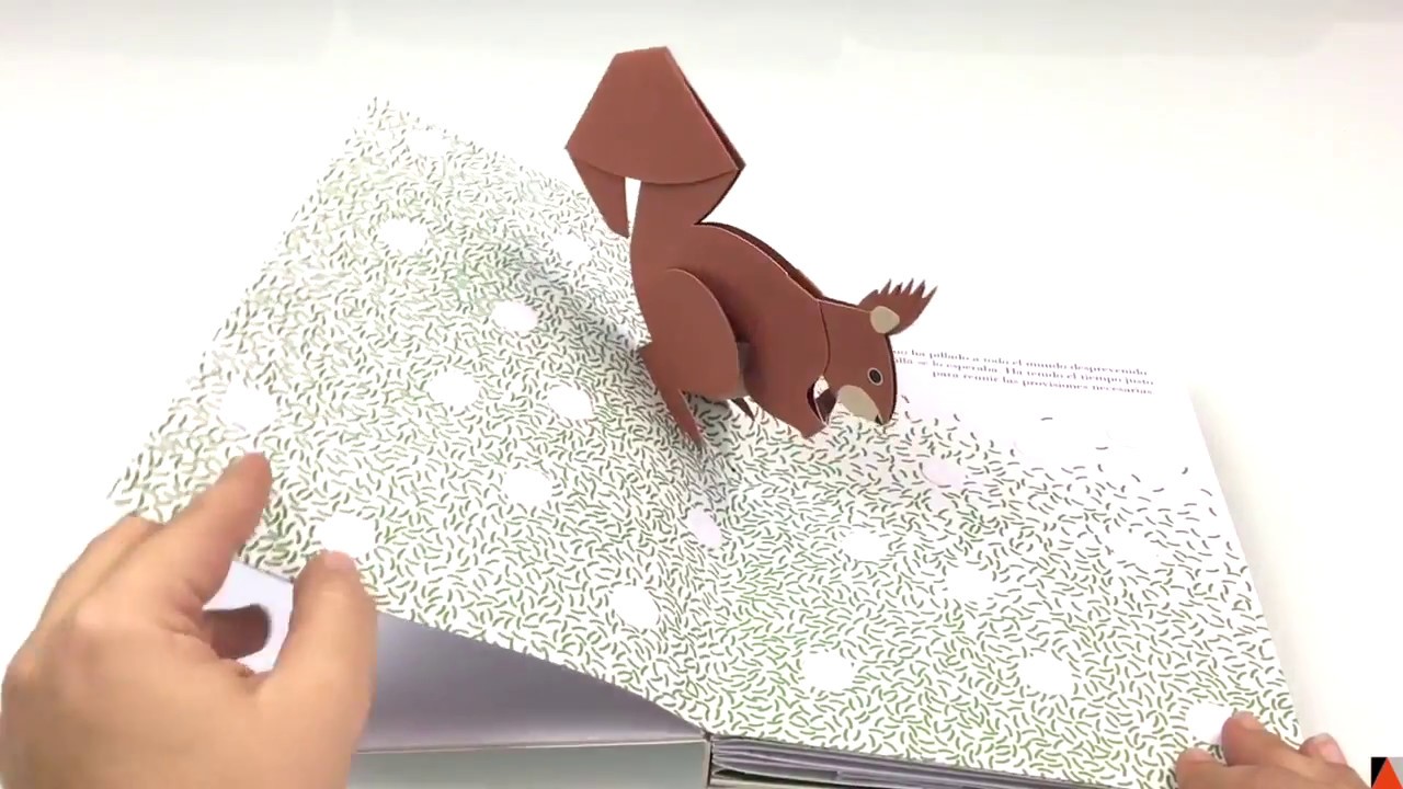 La avellana, un libro para niños y niñas