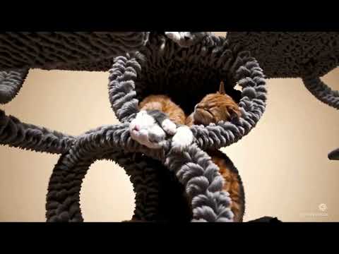 Sora AI 🔮 Dreamscapes – Beyond Imagination! Vol  17 🚀🎬 #SoraVideos 10